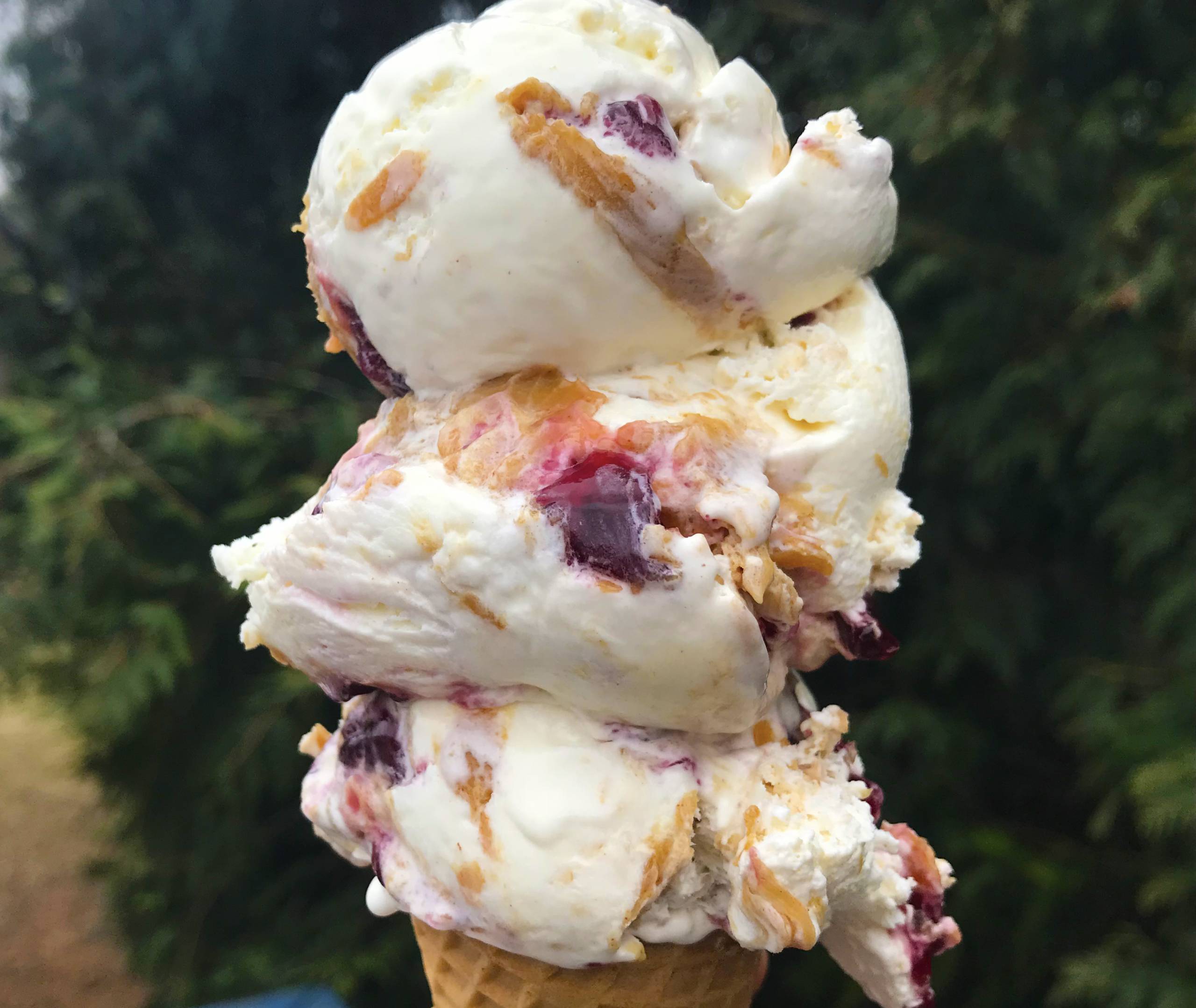 Photos Dairy Haus Saratoga