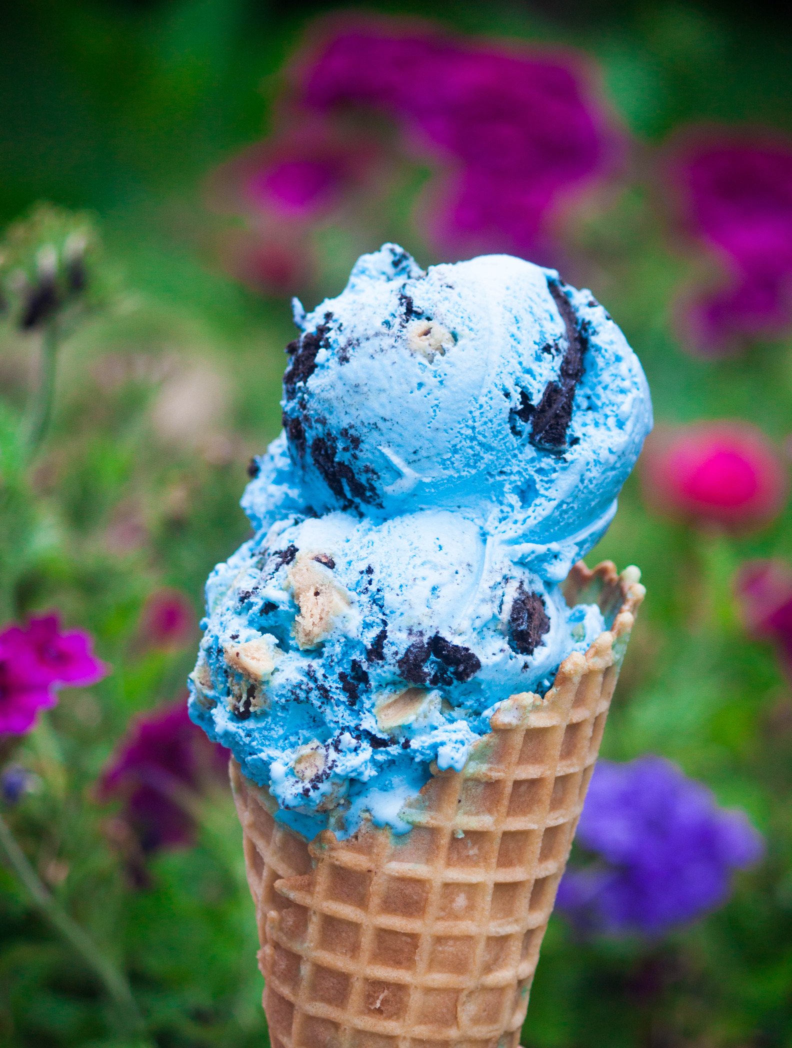 Photos Dairy Haus Saratoga