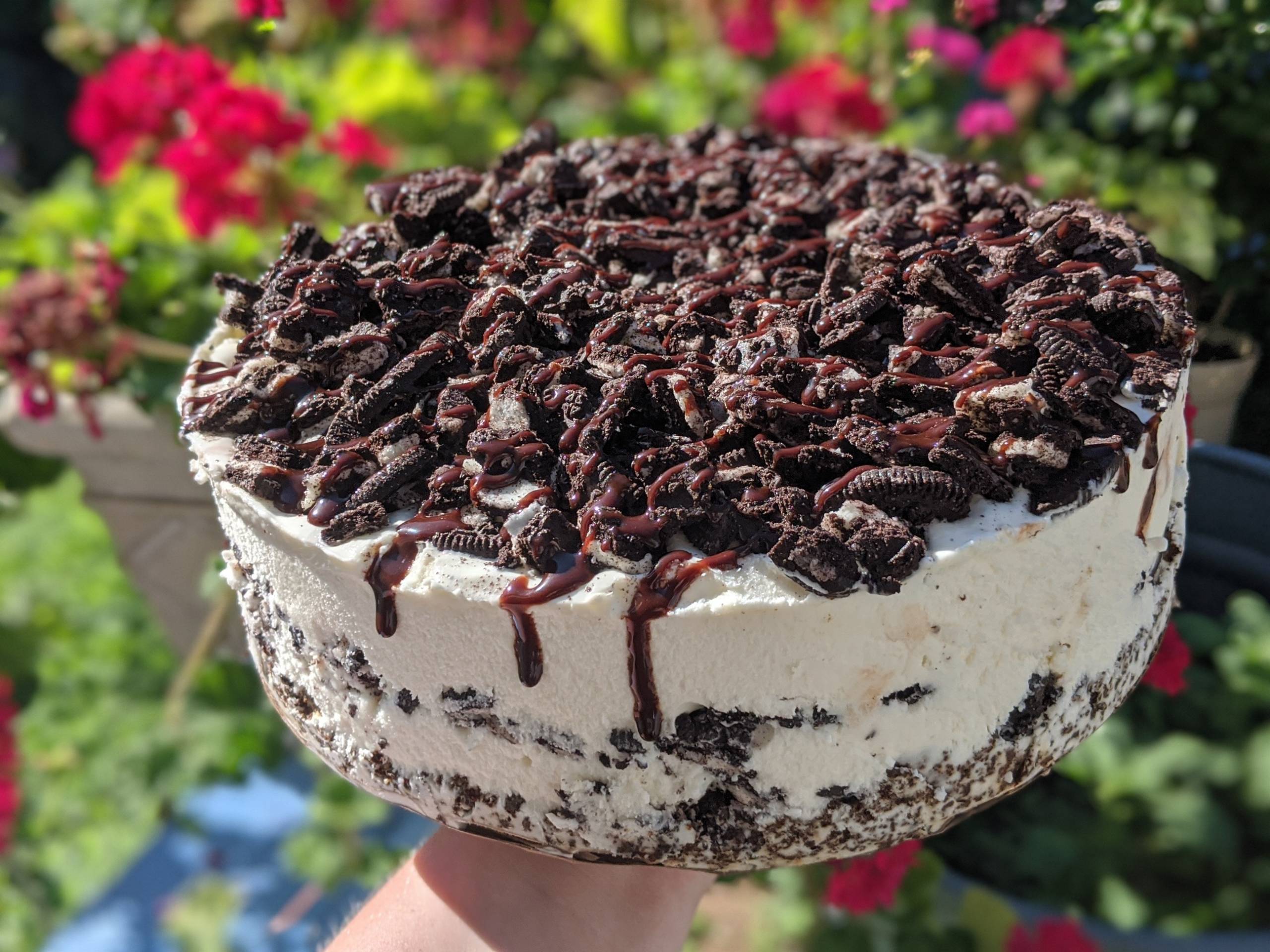 Photos Dairy Haus Saratoga