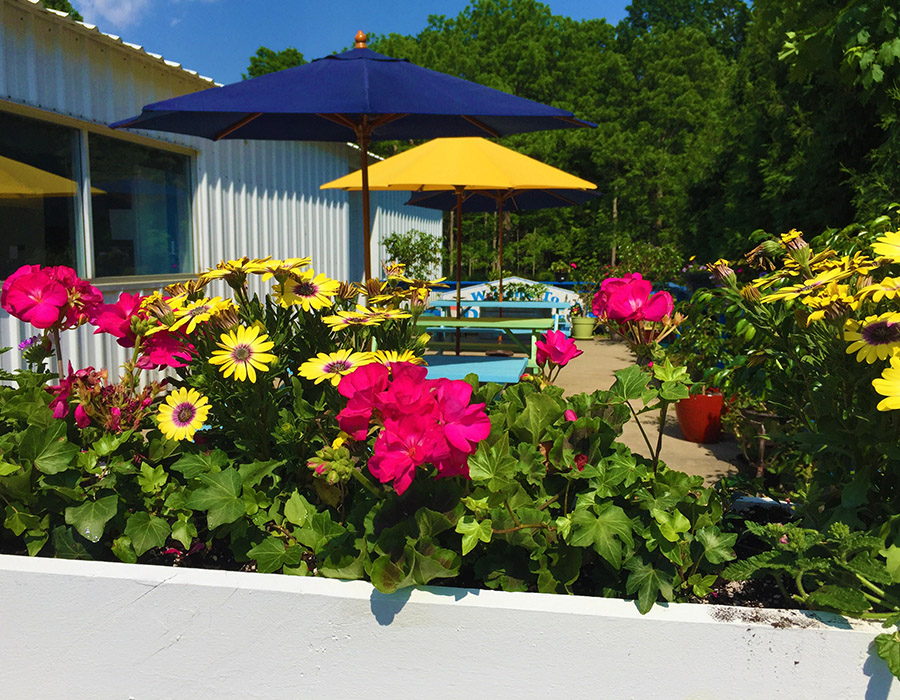 Photos Dairy Haus Saratoga