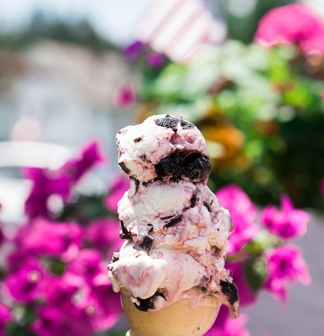 Photos Dairy Haus Saratoga