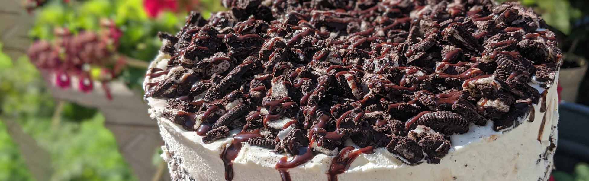 Dairy Haus Hard & Soft Homemade Ice Cream in Saratoga Since 1985!