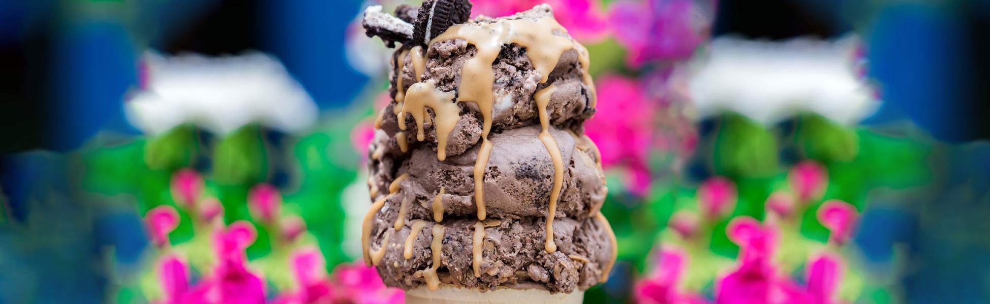 Dairy Haus Hard & Soft Homemade Ice Cream in Saratoga Since 1985!