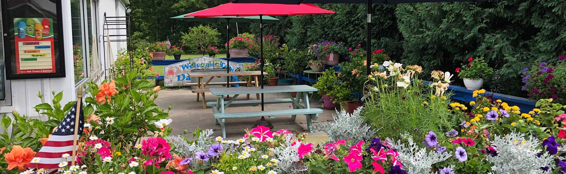 Dairy Haus Hard & Soft Homemade Ice Cream in Saratoga Since 1985!